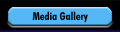 Media Gallery